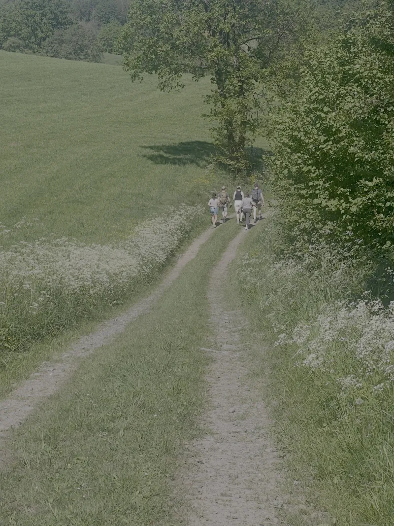Beweisfoto aus dem Raum Die Verschwundene Stimme des Waldes bei Outdoor Escape Meinerzhagen